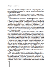 Історії про тварин – Лорі Пекхем (6+, рос.), фото 5