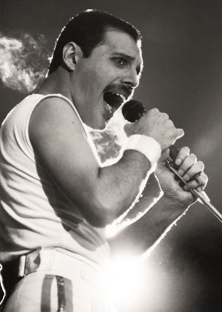 Плакат Freddie Mercury