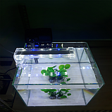 Світильник Xilong Crystal Led-D-10, 4w, фото 3