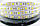 Світлодіодна стрічка SMD 5050 60 LED/m IP 65 Standart Warm White, фото 2