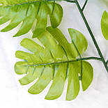 Аркуш монстери зелений 43 см (20 шт. в уп), фото 2