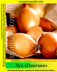 Насіння цибулі «Пінгвін» 0.5 кг