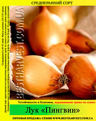 Семена лука «Пингвин» 10 кг (мешок)