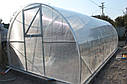 Теплиця "Флора" 3х4 під полікарбонат 6 мм, фото 5