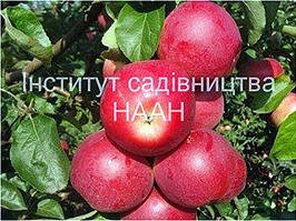 Фруктові дерева, чагарники і лікарські рослини