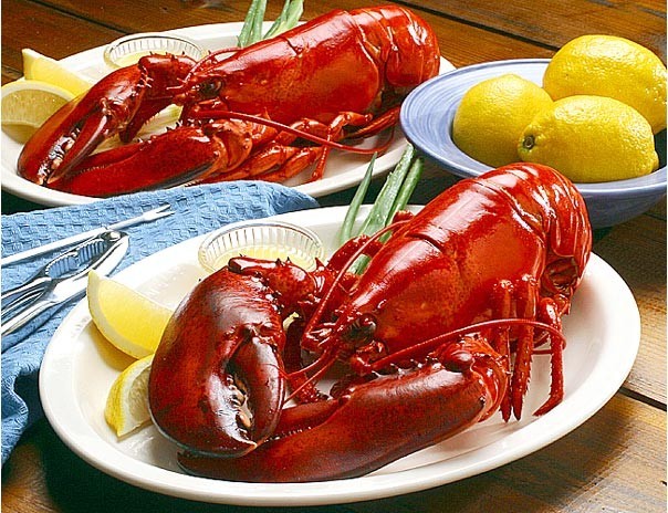 http://images.prom.ua/1905550_w640_h640_lobster2.jpg