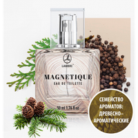 Мужская туалетная вода MAGNETIGUE 50 ml