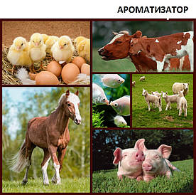 АРОМАТИЗАТОР «МУЛЬТИФРУТ»в корм для тварин