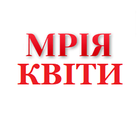 Насіння Цибуля халцедон 1г. "НК ЕЛІТ"