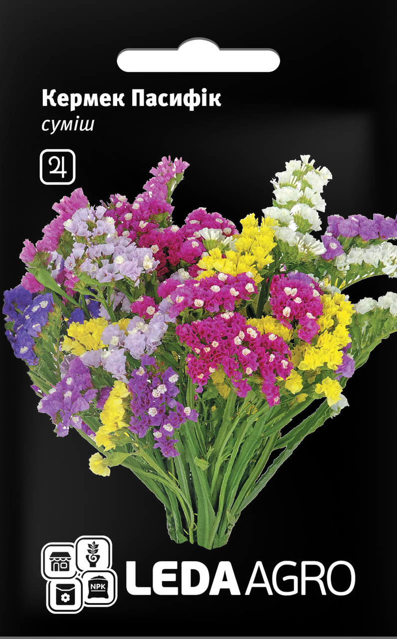 Насіння Статиця (кермек) Пасифік суміш 0,1 г LEDAAGRO