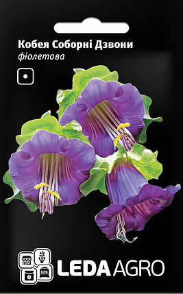 Насіння Кобея Соборні Дзвони фіолетова 0,2 г LEDAAGRO, фото 1