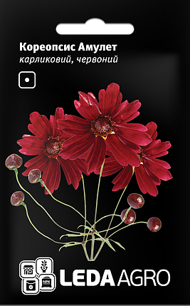 Насіння Кореопсис Червоний Амулет 0,2 г LEDAAGRO, фото 1