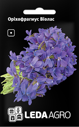 Насіння Оріхофрагмус Віолас 0,5 г LEDAAGRO, фото 1
