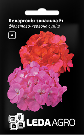 Насіння Пеларгонія Зональна F1 фіолетово-червона 5шт LEDAAGRO, фото 1