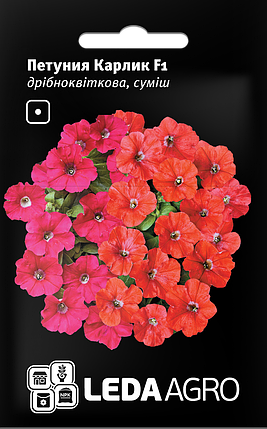 Насіння Петунія Карлик F1 10шт LEDAAGRO, фото 1