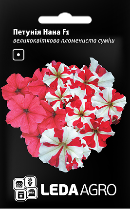 Насіння Петунія Нана F1 полум'яна суміш 10шт LEDAAGRO, фото 1