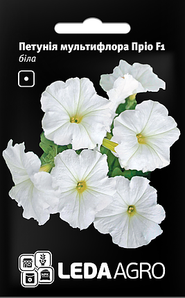 Насіння Петунія мультифлора Пріо F1 біла 0,01 г LEDAAGRO, фото 1