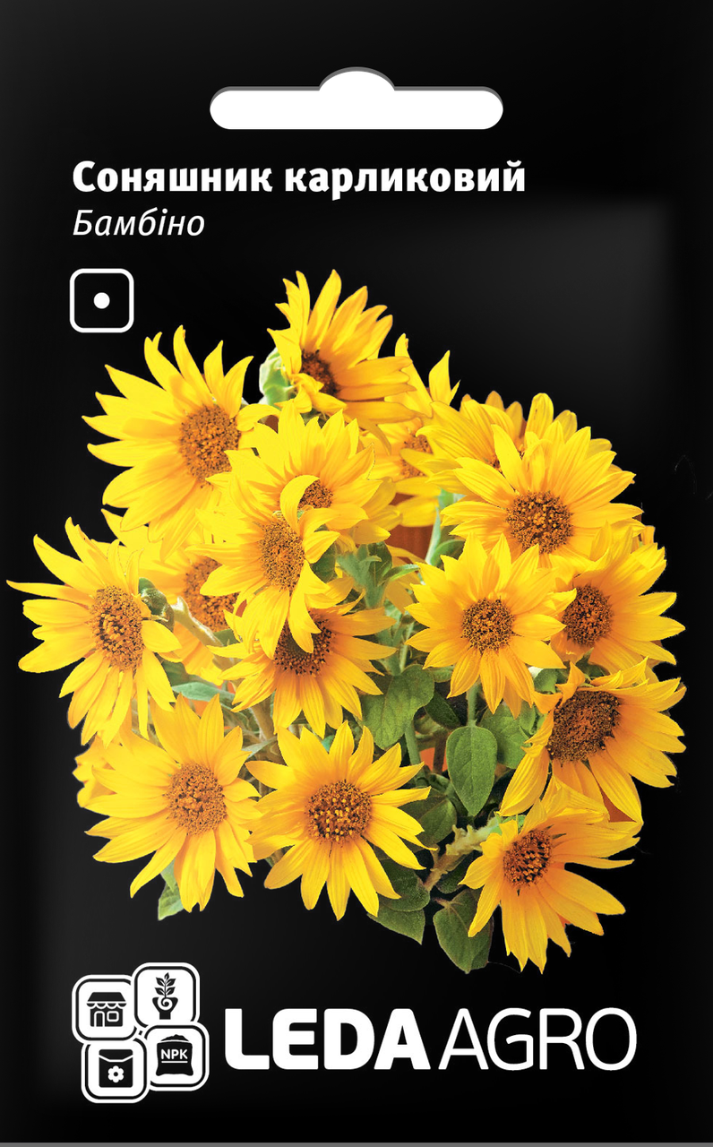 Насіння Соняшник карликовий Бамбіно 0,5 г LEDAAGRO