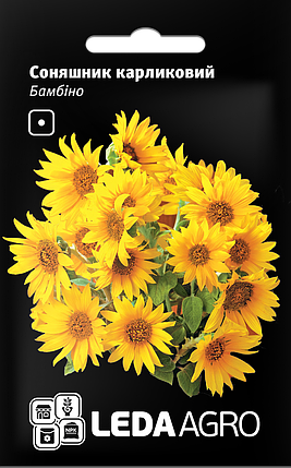 Насіння Соняшник карликовий Бамбіно 0,5 г LEDAAGRO, фото 1