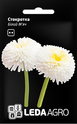 Насіння Маргаритка Білий м'яч 0,01 г LEDAAGRO, фото 1