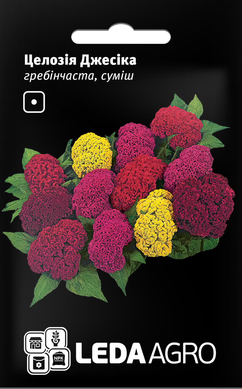Насіння Целозія Джесіка гребінчаста суміш 0,01 г LEDAAGRO