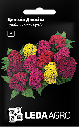 Насіння Целозія Джесіка гребінчаста суміш 0,01 г LEDAAGRO, фото 1