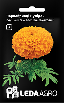 Насіння Чорнобривці африканські Купідон золотисто-жовті 5г LEDAAGRO, фото 1