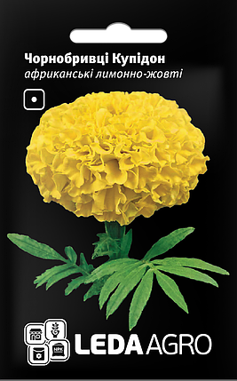 Насіння Чорнобривці африканські Купідон лимонно-жовті 5г LEDAAGRO, фото 1