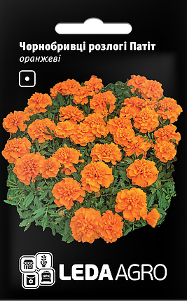 Насіння Чорнобривці Патіт помаранчеві 0,25 г LEDAAGRO, фото 1