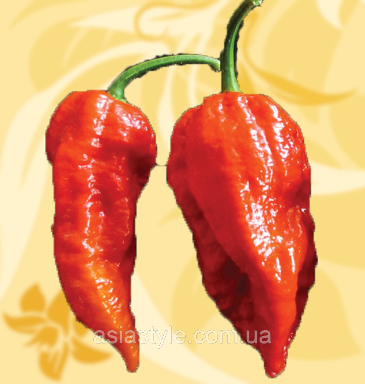 Перець Суперхот, Superhot, Naga Morich, Zapal, 10-12г, Україна, Б, фото 1