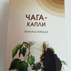 Настоянка Чага Ботан — нормалізує діяльність шлунково-шлункового тракту та кишкову мікрофлору, краплі 50 мл