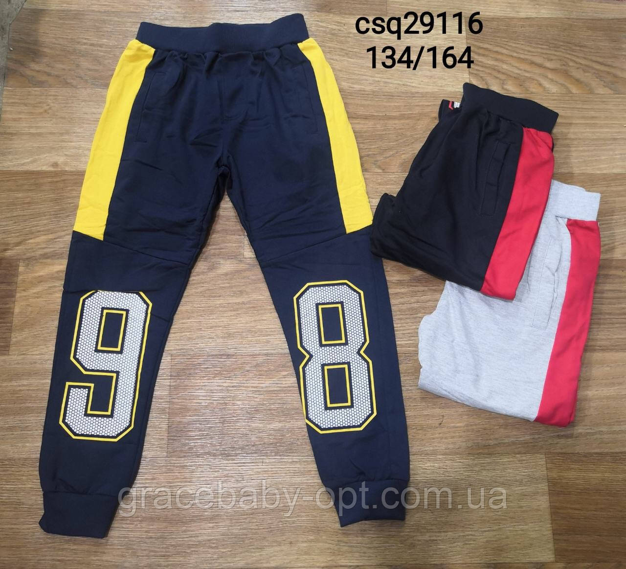 Спортивні штани для хлопчика оптом, Seagull, 134-164 см, № CSQ-29116