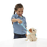 Інтерактивна м'яка іграшка вихованець на повідці Веселе Цуценя Пакс від Hasbro FurReal Friends Pup Pax Хасбро, фото 5