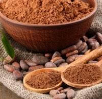 Какао-порошок алкалізований Нідерланди 10-12%