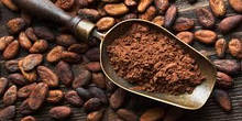 Какао-порошок алкалізований 10-12%
