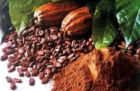Какао порошок натуральний Малайзія 10-12%