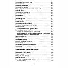 Книга Введення в Аюрведу, В'ячеслав Рузов. 240 стор., фото 3