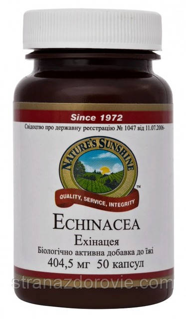 Ехінацея НСП Echinacea NSP — 50 кап — NSP, США