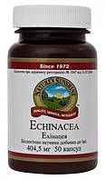 Эхинацея НСП Echinacea NSP - 50 кап - NSP, США