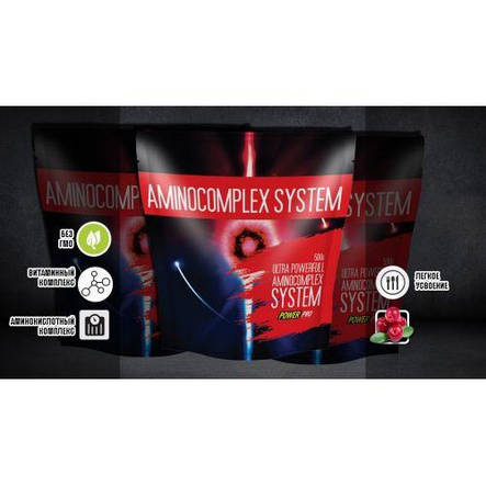 Амінокислоти комплексні Power Pro Aminocomplex system 500 г смак Журавлина, фото 3