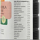 Васа Дашамула Розаяна (Vasa dasamoola Rasayanam), 450 мл — зміцнення органів дихання, фото 4