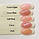 Acrylatic Cover (Polygel) 1 кг, фото 5