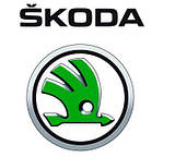Штатні магнітоли на Skoda