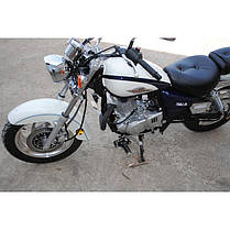 Мотоцикл SKYMOTO Eagle 250, фото 3