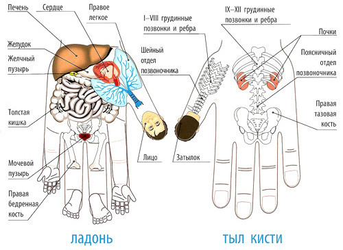 масажер для пальців рук су джок