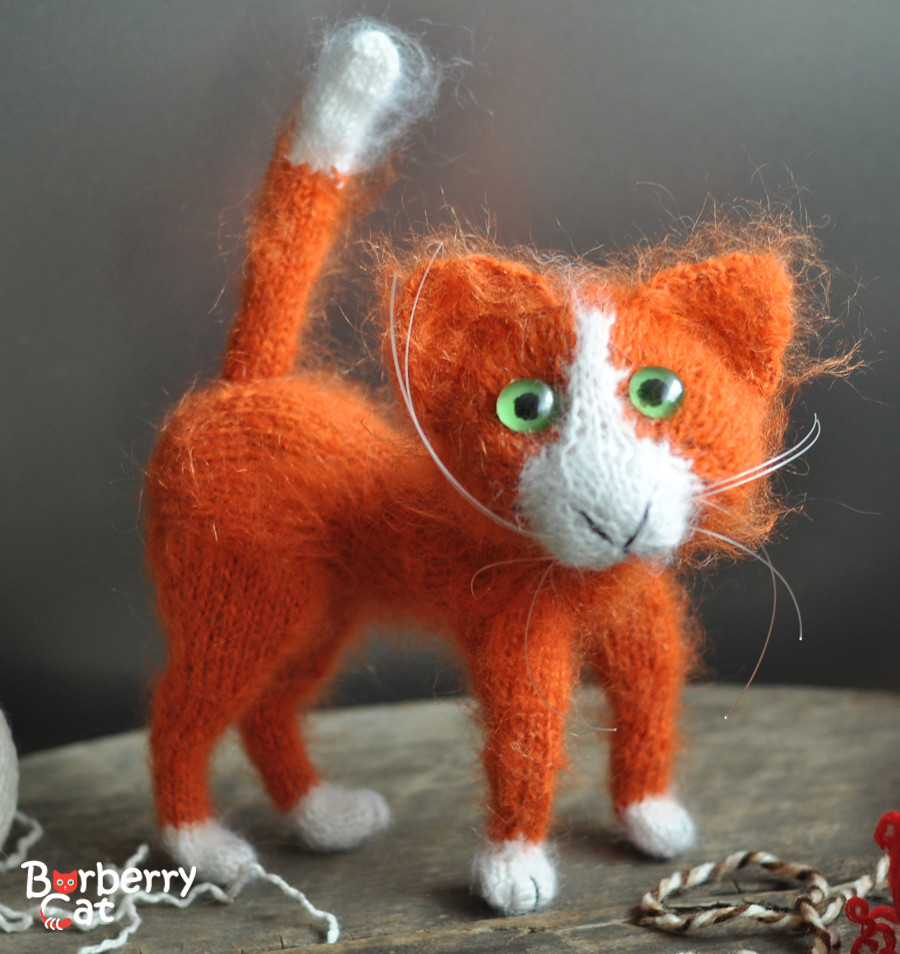 Пухнастий рудий котик