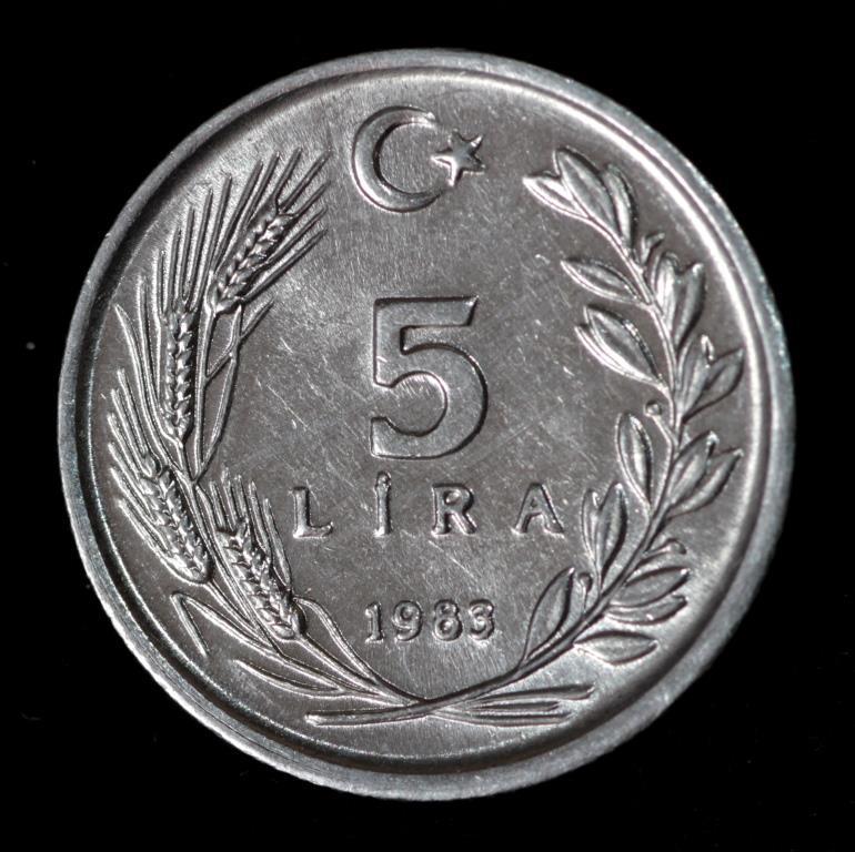 Монета Туреччини 5 лір 1983 р., фото 1