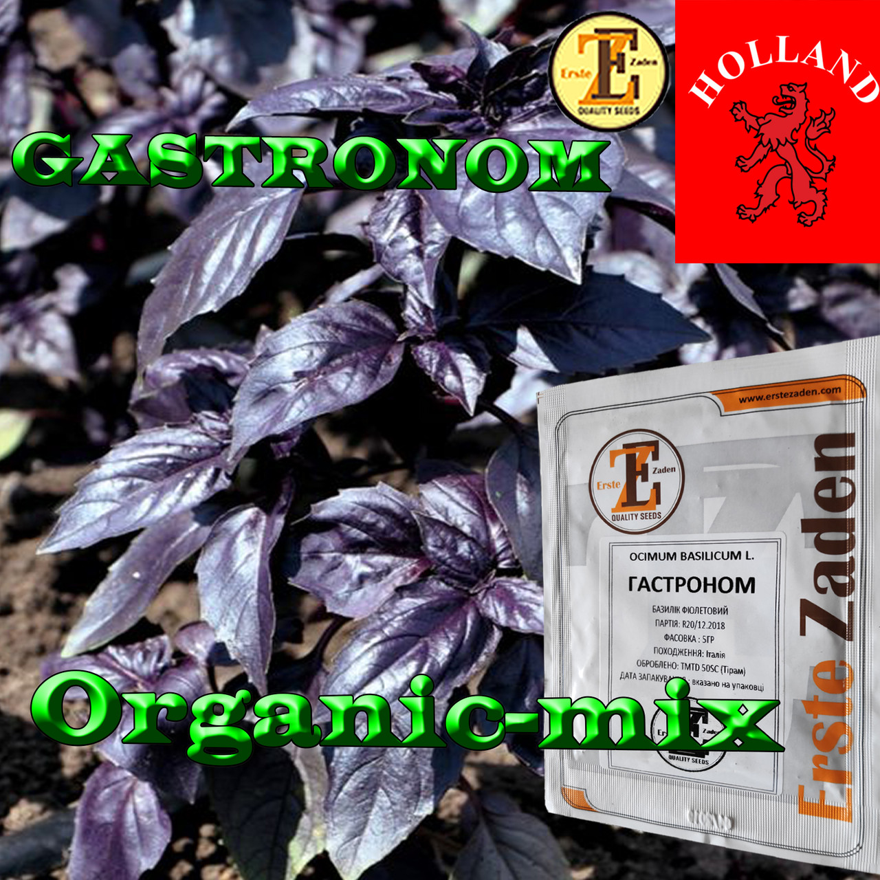 Насіння, Базилік фіолетовий Гастроном/Gastronom (проф. пакет 5 грамів) ТМ Erste Zaden