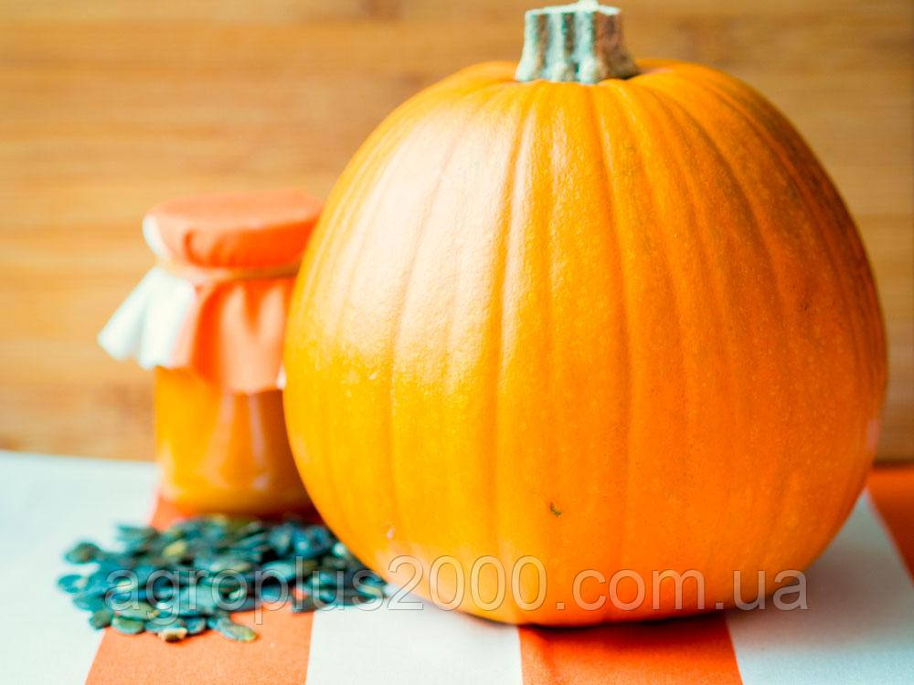 Насіння Гарбуз Народний 10 грамів Традиція