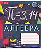 Набір предметних зошитів 48 аркушів 1 Вересня "College" 763162, фото 2